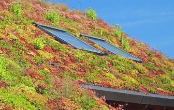 Stromemore living roof systems